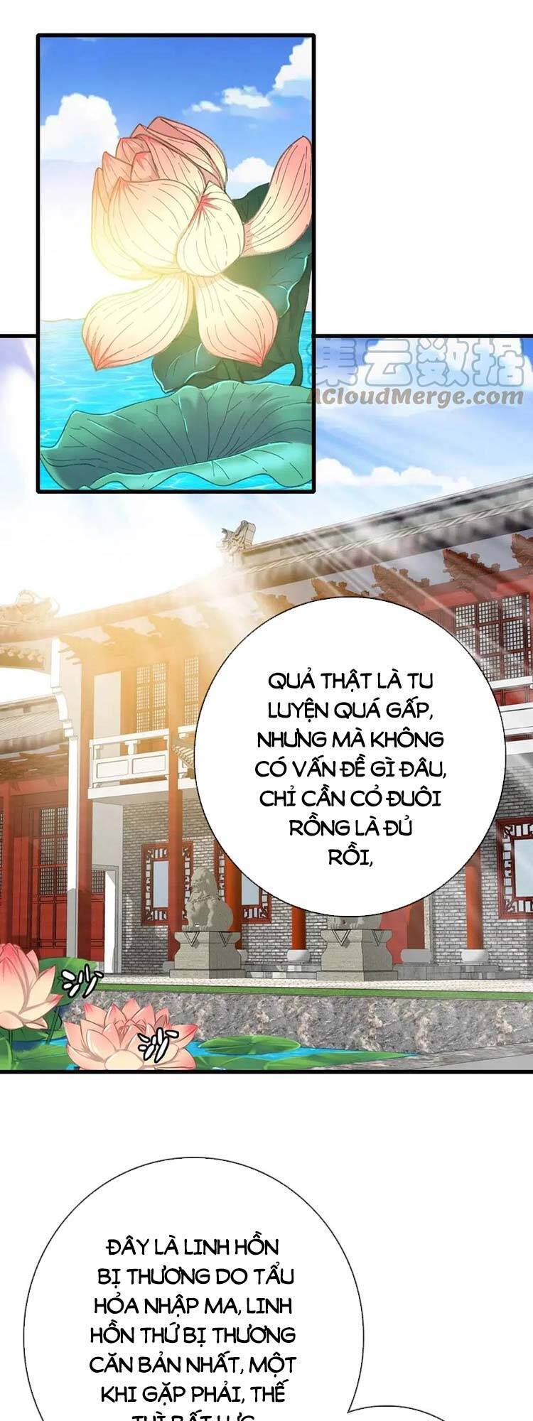 Hệ Thống Thăng Cấp Điên Cuồng Chap 29 - Next Chap 30