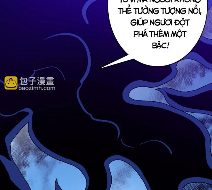 Hệ Thống Thăng Cấp Điên Cuồng Chap 52 - Next Chap 53