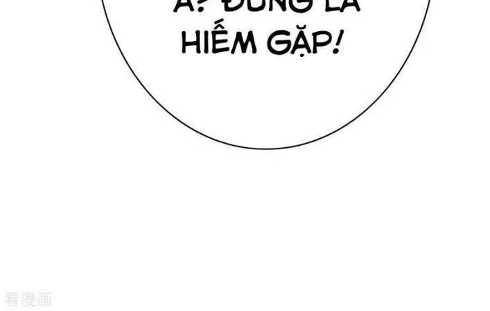 Hệ Thống Tiên Tôn Tại Đô Thị Chap 52 - Next Chap 53