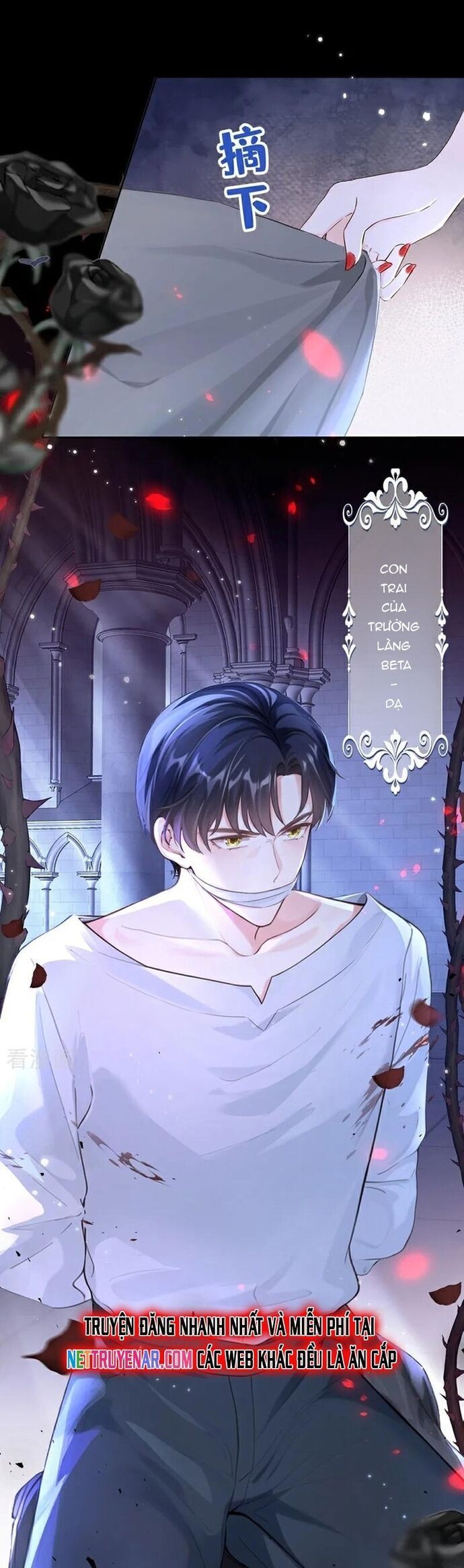 Hệ Thống Xuyên Nhanh: Ác Nam Không Dễ Chọc Chap 145 - Next Chap 146