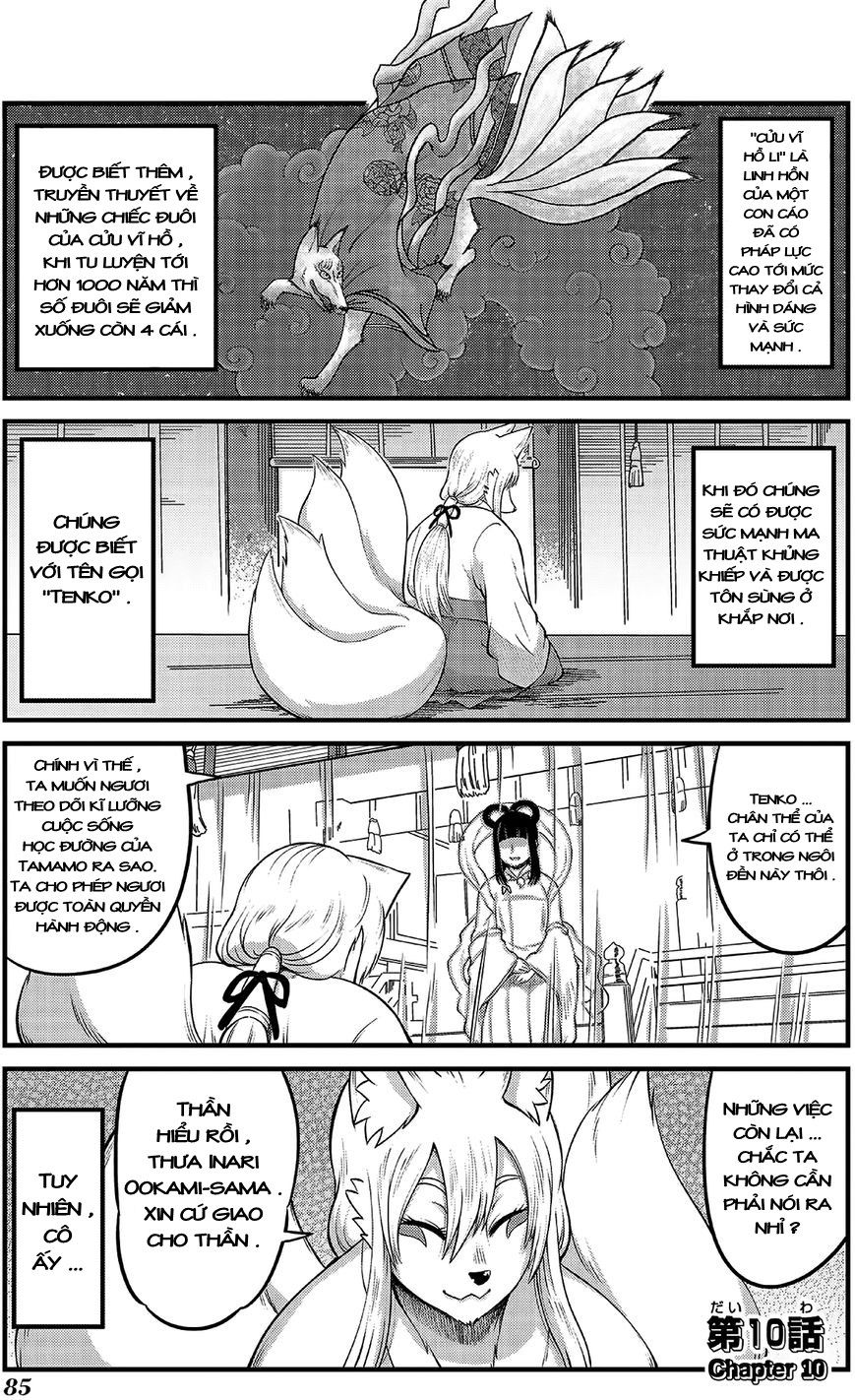 High School Inari Tamamo-Chan Chap 10 - Next Chap 11
