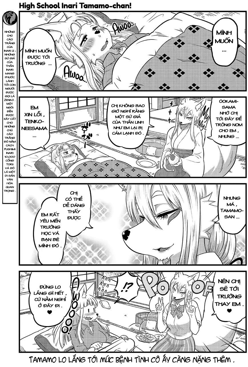 High School Inari Tamamo-Chan Chap 10 - Next Chap 11