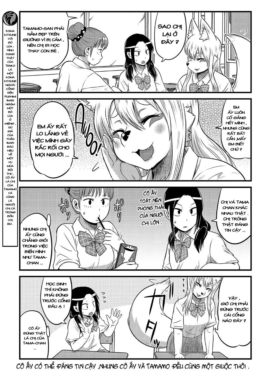 High School Inari Tamamo-Chan Chap 10 - Next Chap 11