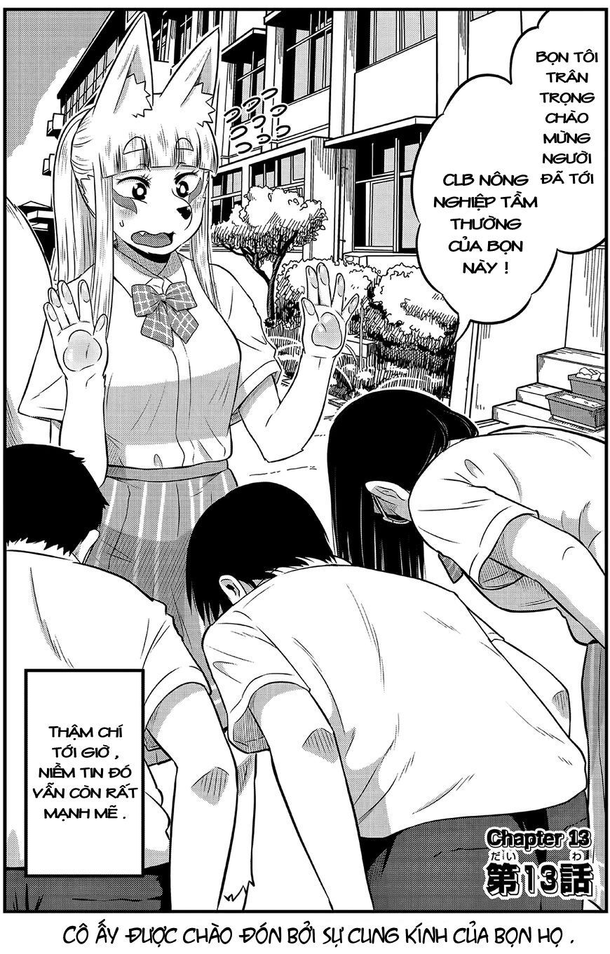 High School Inari Tamamo-Chan Chap 13 - Next Chap 14