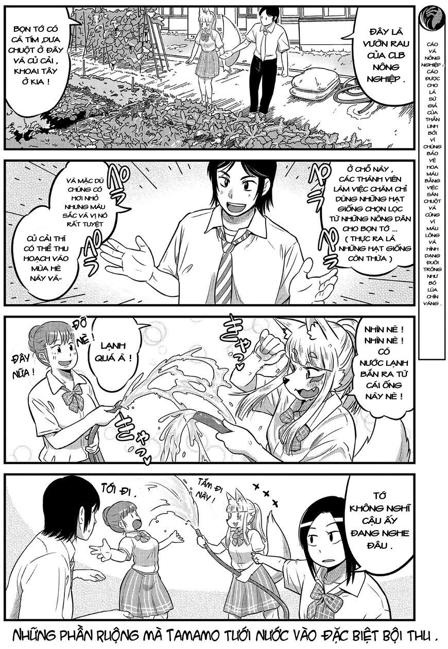 High School Inari Tamamo-Chan Chap 13 - Next Chap 14