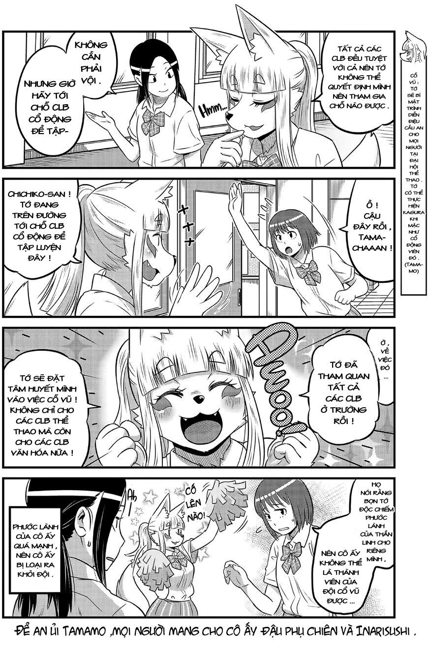 High School Inari Tamamo-Chan Chap 13 - Next Chap 14