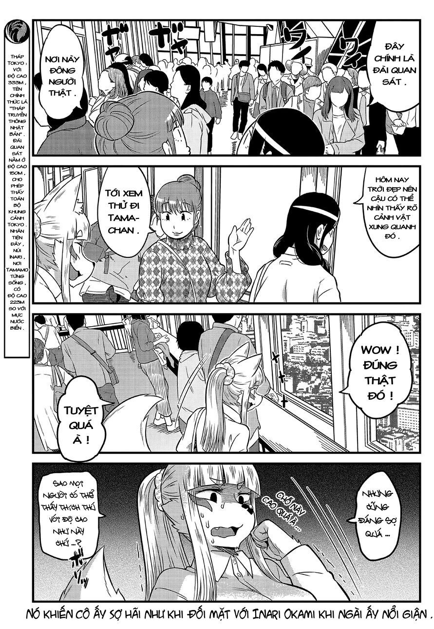 High School Inari Tamamo-Chan Chap 9 - Next Chap 10