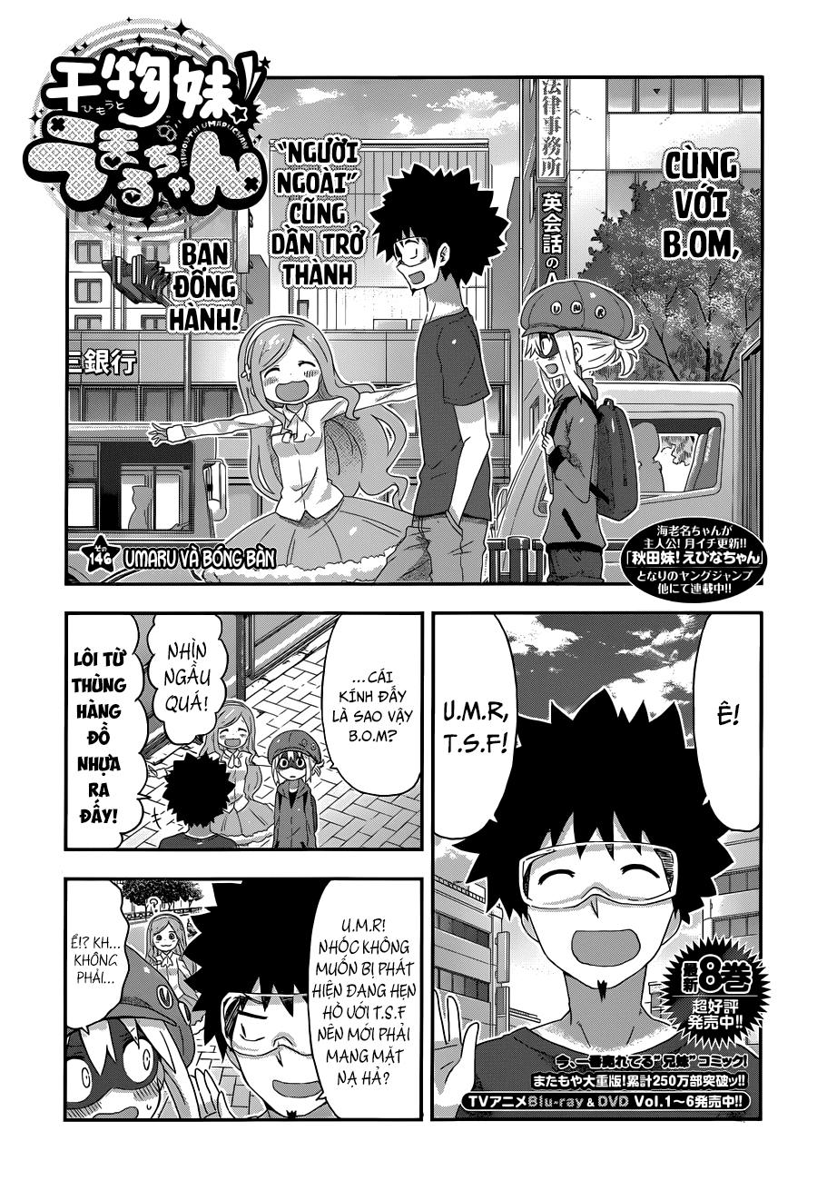 Himouto! Umaru-Chan Chap 146 - Next Chap 147