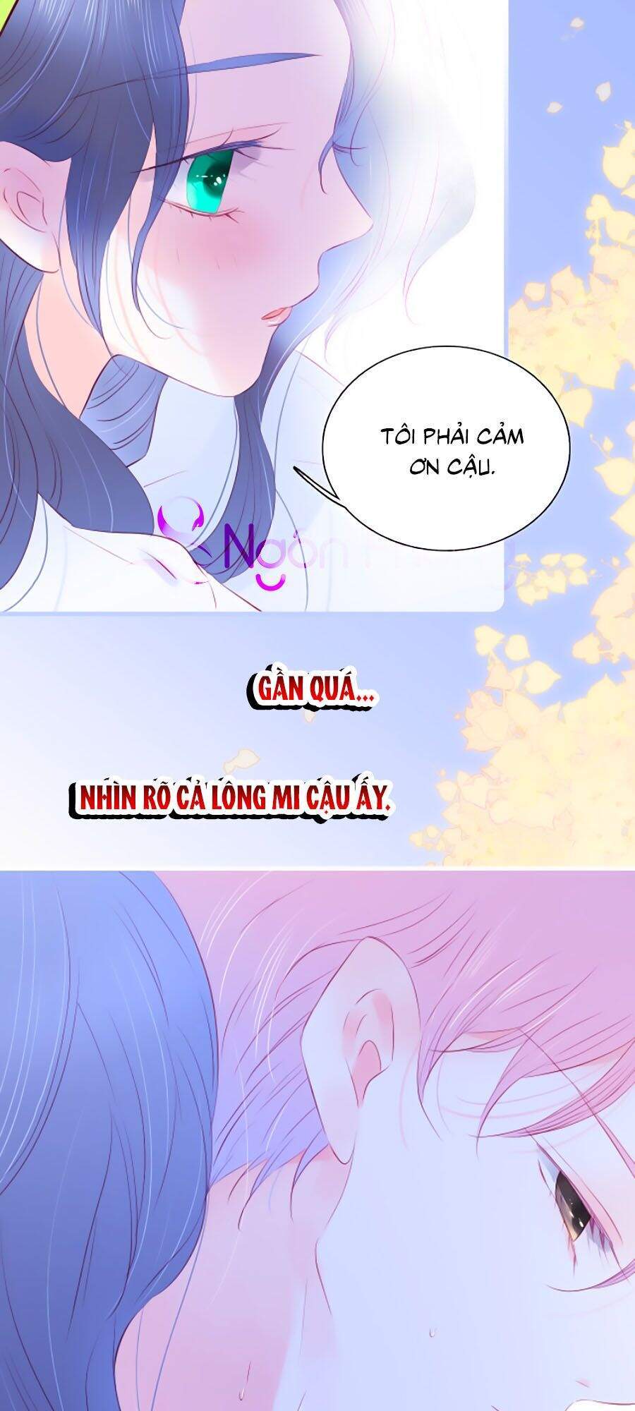 Hoa Bỏ Chạy Với Nhím Rồi Chap 28 - Next Chap 29