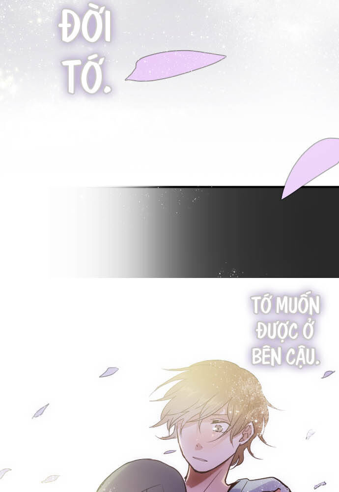 Hoa Cánh Sao Chap 32 - Next Chap 33