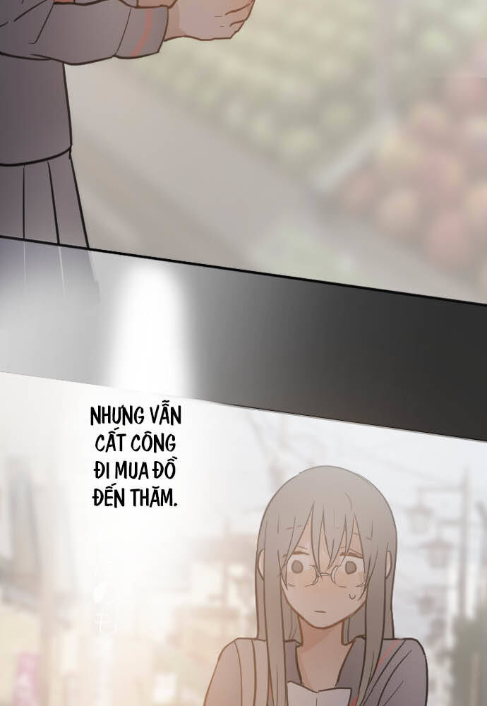 Hoa Cánh Sao Chap 32 - Next Chap 33