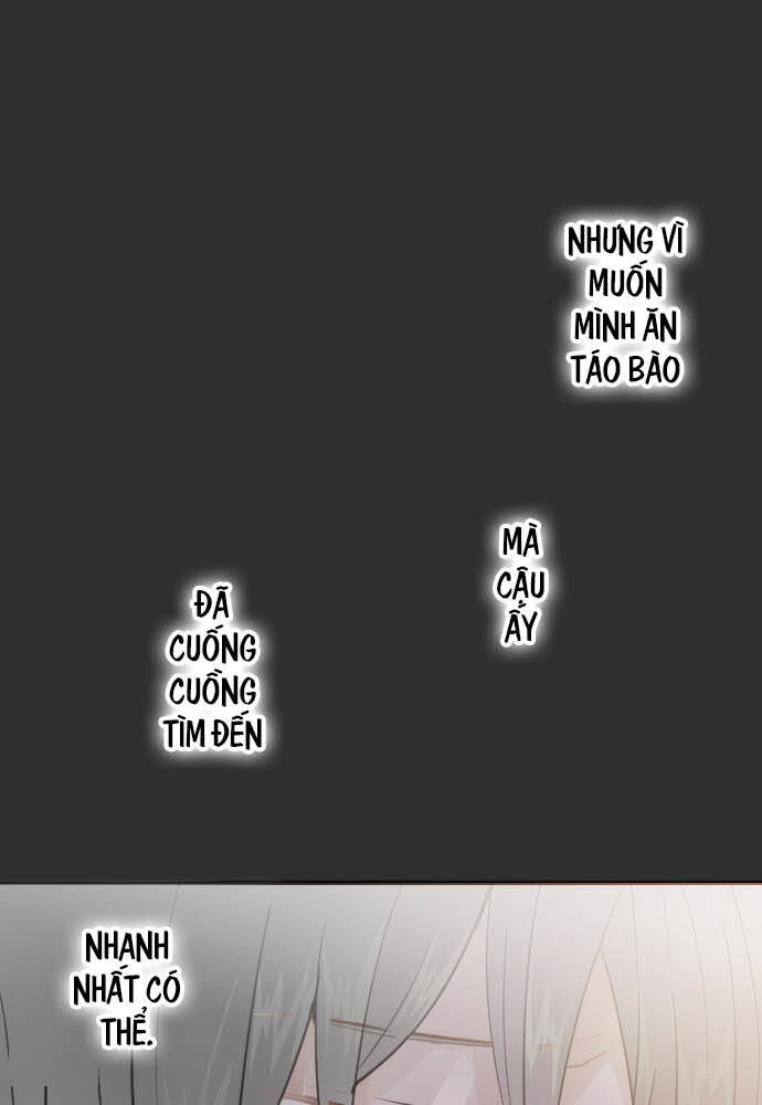 Hoa Cánh Sao Chap 32 - Next Chap 33