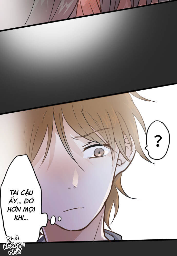 Hoa Cánh Sao Chap 33 - Next Chap 34