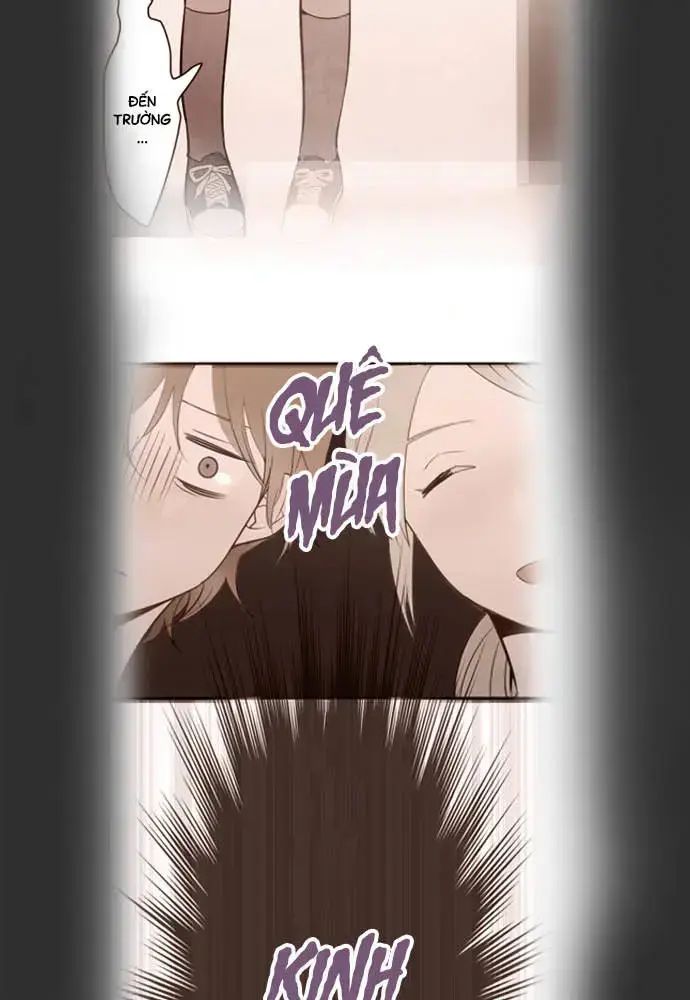 Hoa Cánh Sao Chap 37 - Next Chap 38
