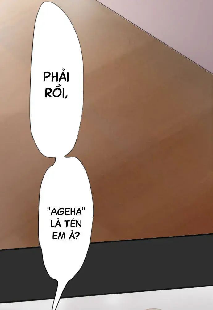 Hoa Cánh Sao Chap 37 - Next Chap 38