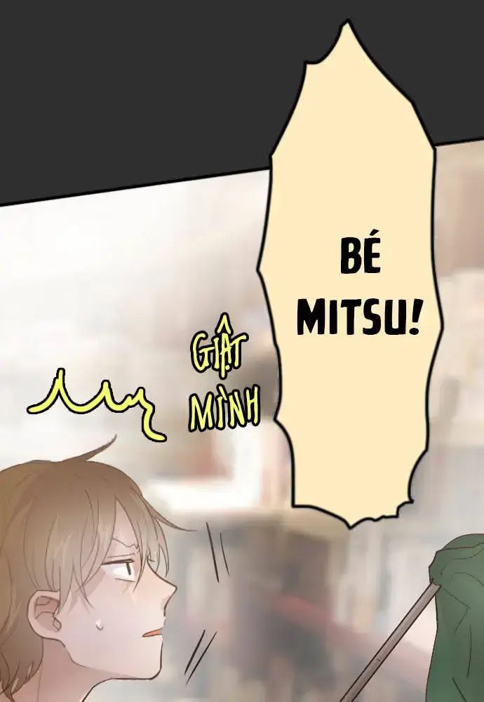 Hoa Cánh Sao Chap 37 - Next Chap 38