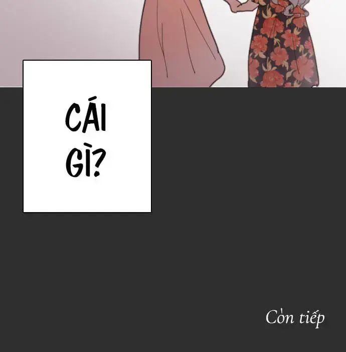 Hoa Cánh Sao Chap 37 - Next Chap 38