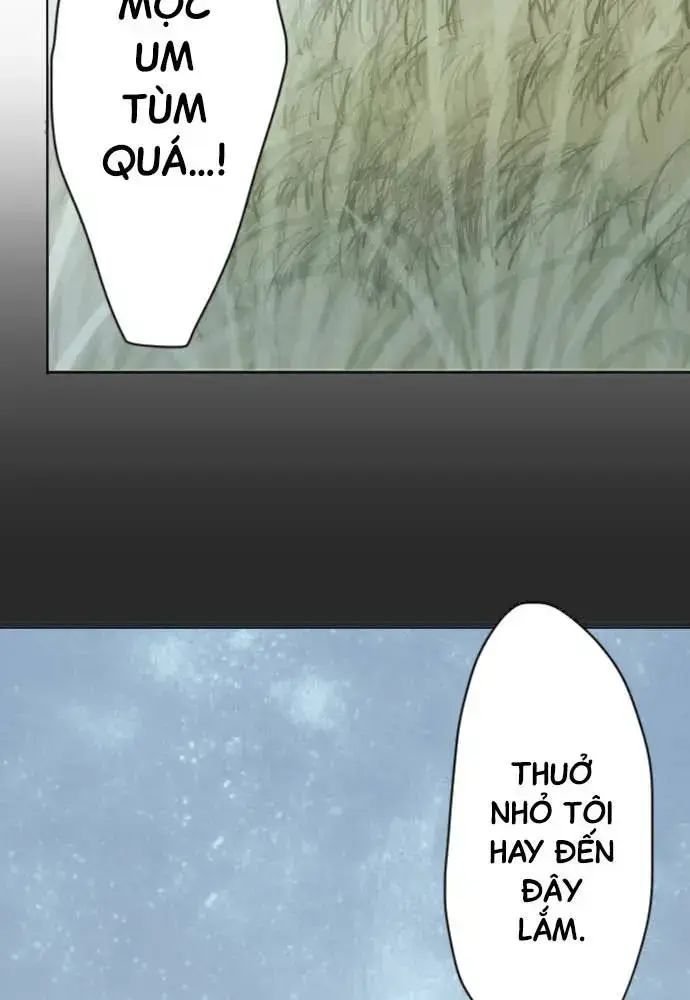 Hoa Cánh Sao Chap 38 - Next Chap 39