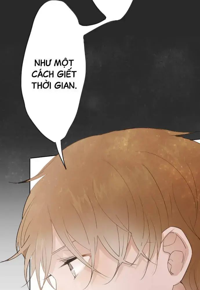 Hoa Cánh Sao Chap 38 - Next Chap 39