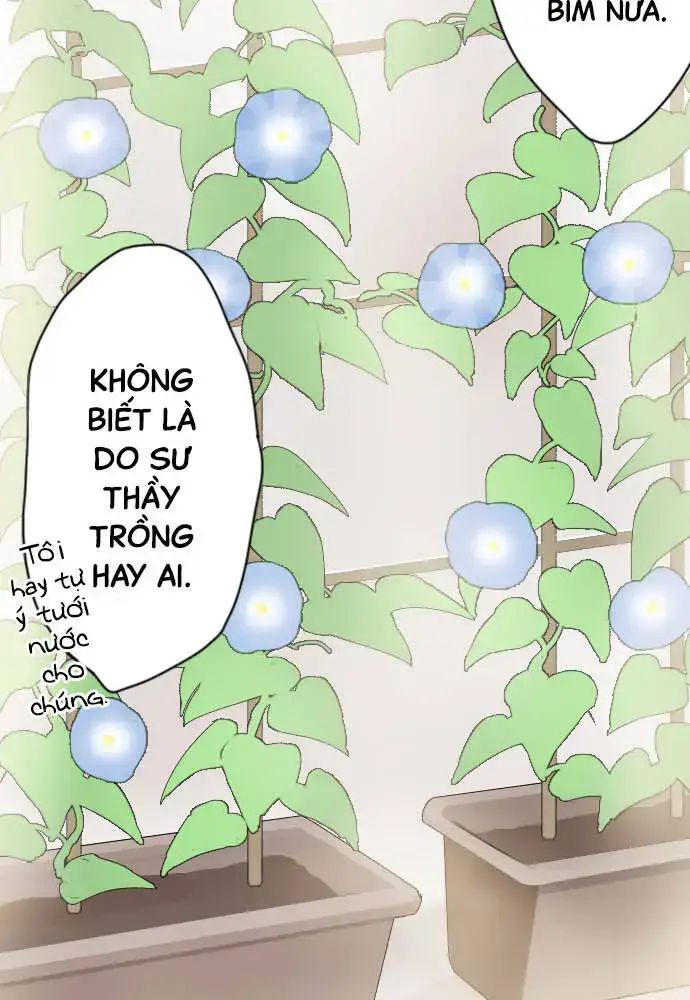 Hoa Cánh Sao Chap 38 - Next Chap 39