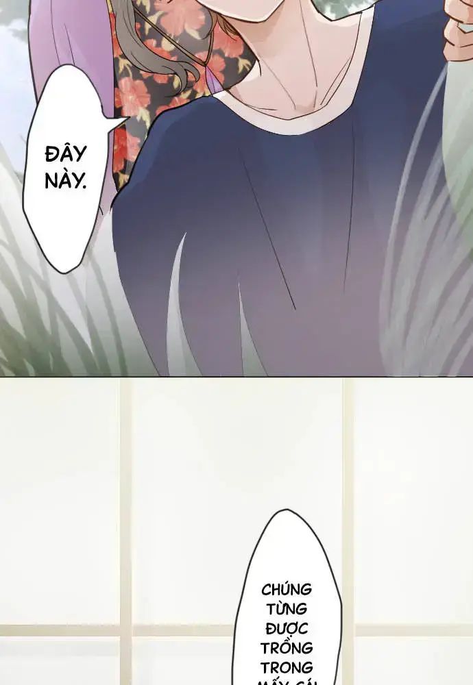Hoa Cánh Sao Chap 38 - Next Chap 39