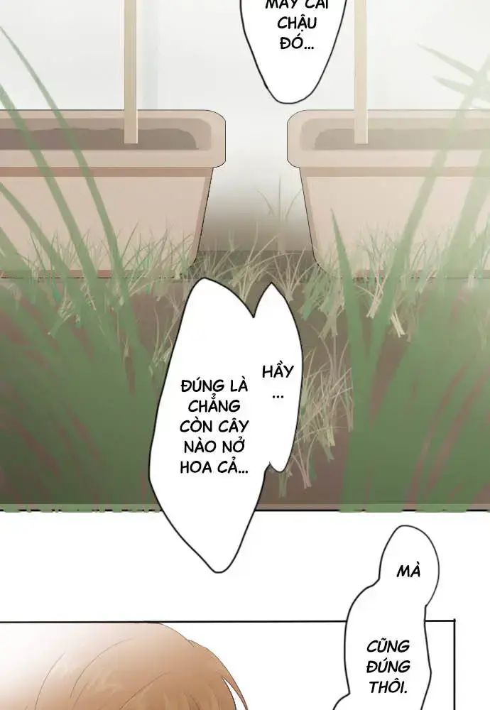 Hoa Cánh Sao Chap 38 - Next Chap 39