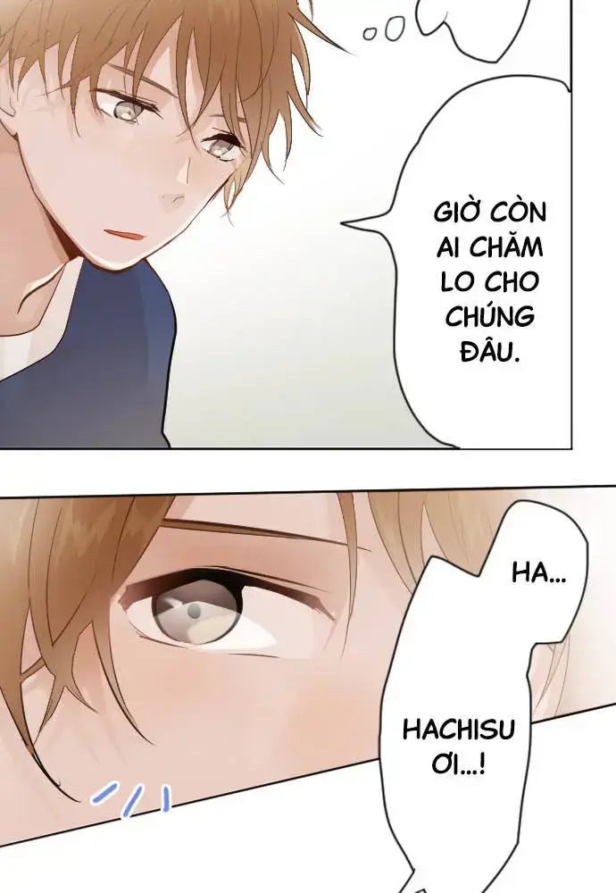 Hoa Cánh Sao Chap 38 - Next Chap 39
