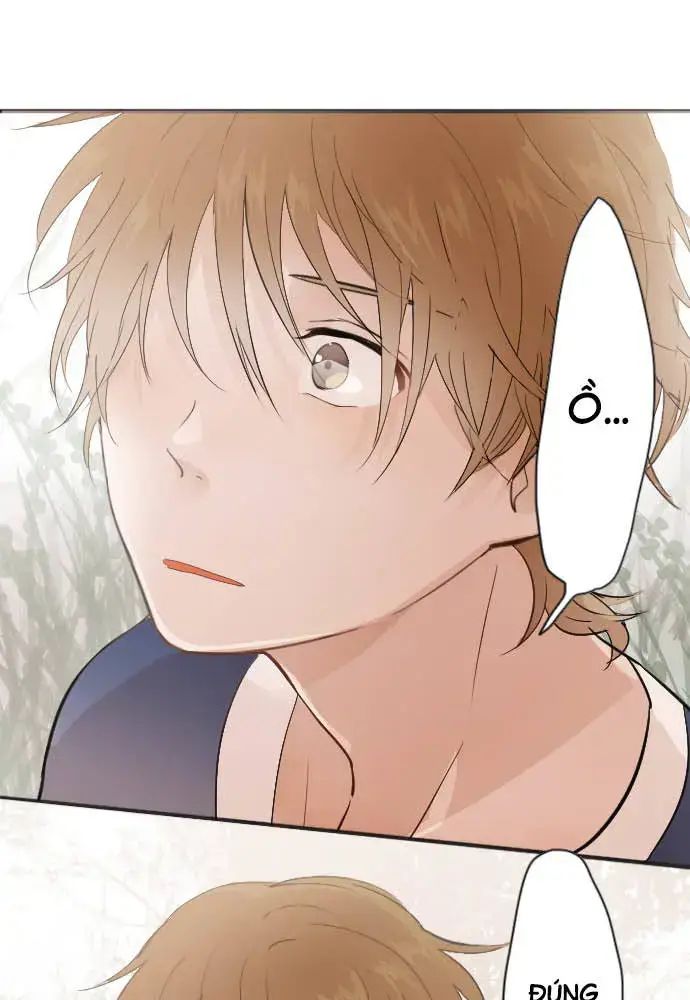 Hoa Cánh Sao Chap 38 - Next Chap 39