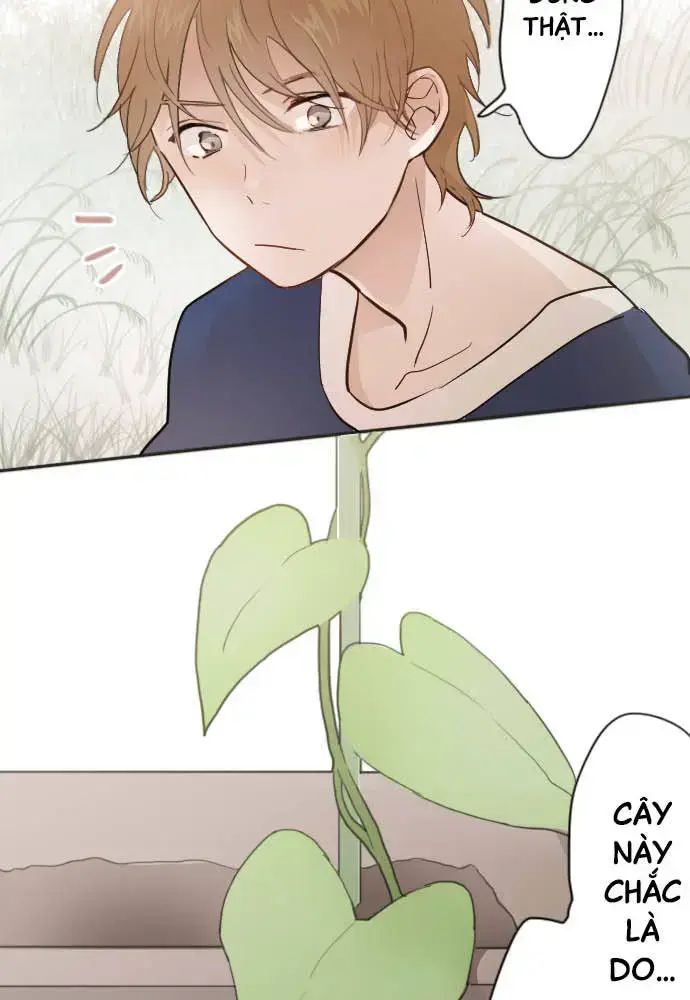 Hoa Cánh Sao Chap 38 - Next Chap 39