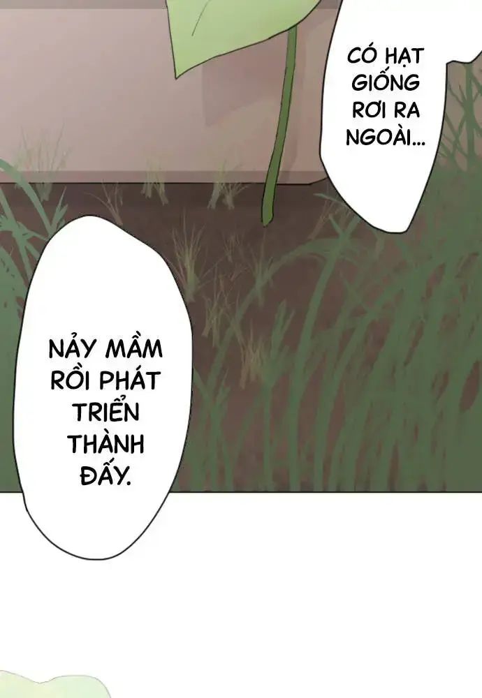 Hoa Cánh Sao Chap 38 - Next Chap 39