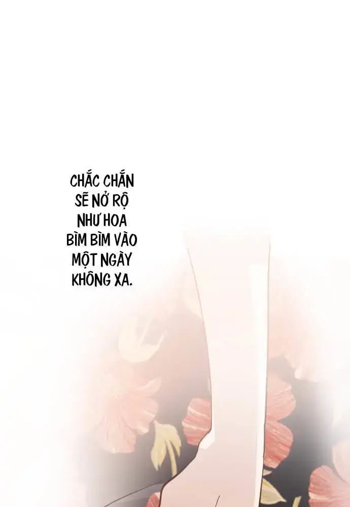 Hoa Cánh Sao Chap 38 - Next Chap 39