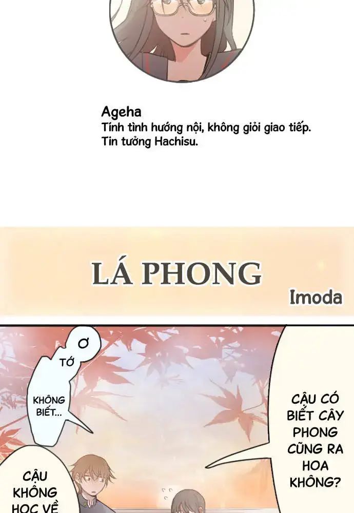 Hoa Cánh Sao Chap 385 - Next Chap 386