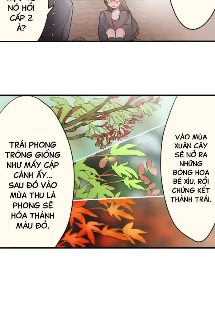 Hoa Cánh Sao Chap 385 - Next Chap 386