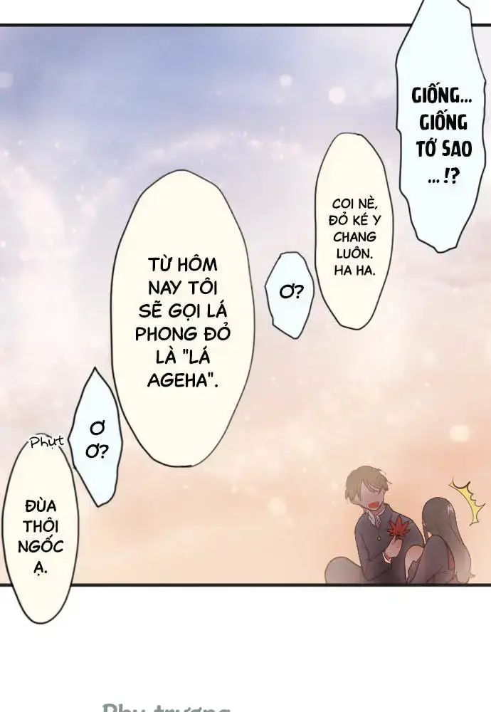 Hoa Cánh Sao Chap 385 - Next Chap 386