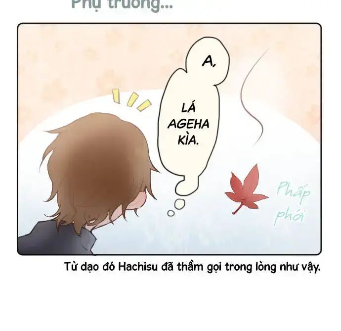 Hoa Cánh Sao Chap 385 - Next Chap 386