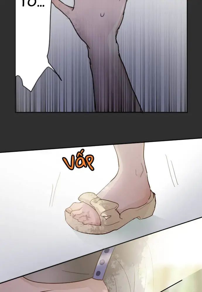 Hoa Cánh Sao Chap 39 - Next Chap 40