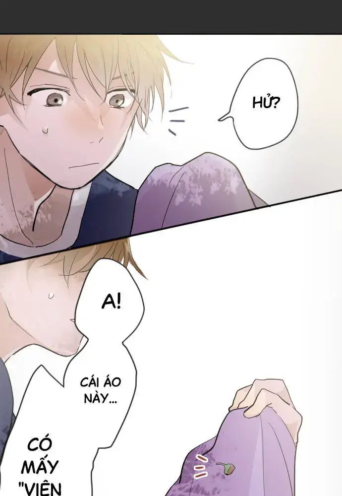 Hoa Cánh Sao Chap 39 - Next Chap 40