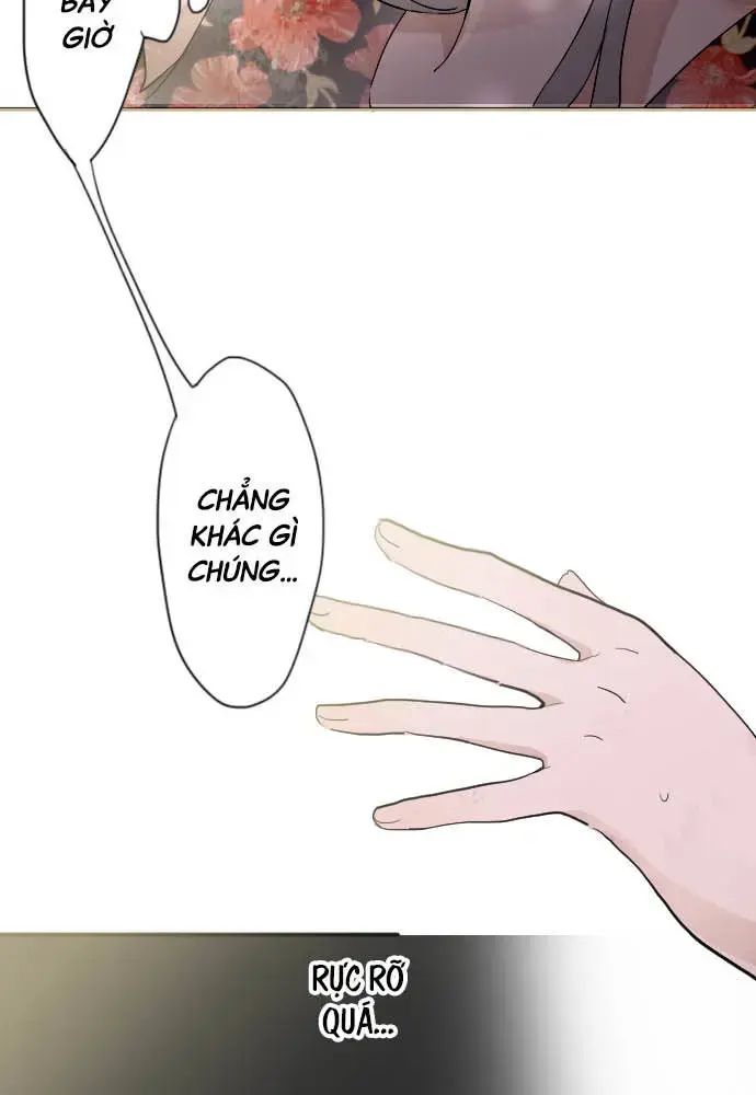 Hoa Cánh Sao Chap 39 - Next Chap 40