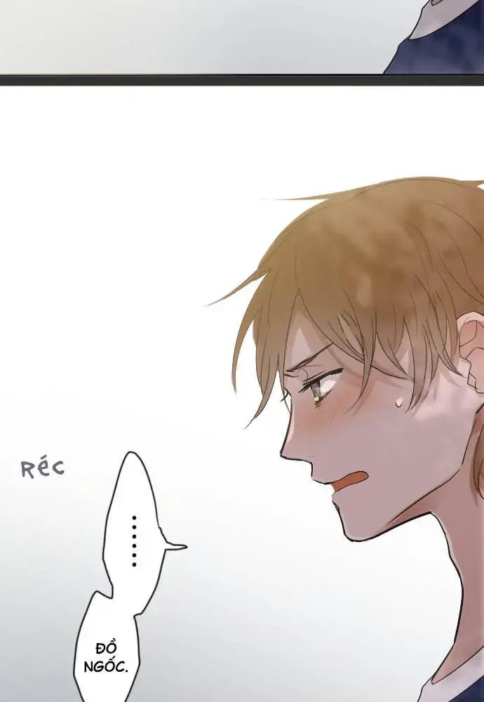 Hoa Cánh Sao Chap 39 - Next Chap 40