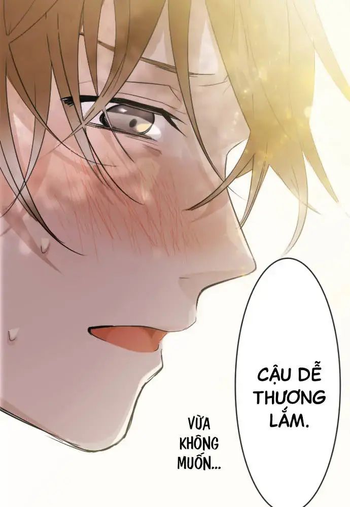 Hoa Cánh Sao Chap 39 - Next Chap 40