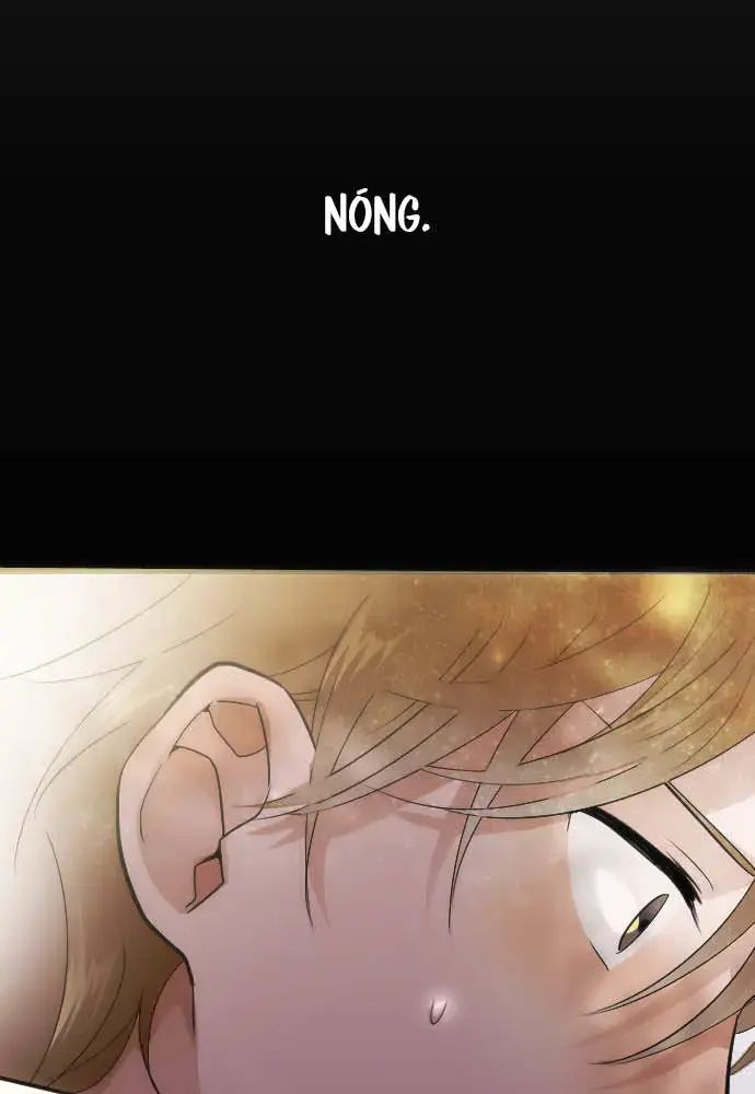 Hoa Cánh Sao Chap 39 - Next Chap 40