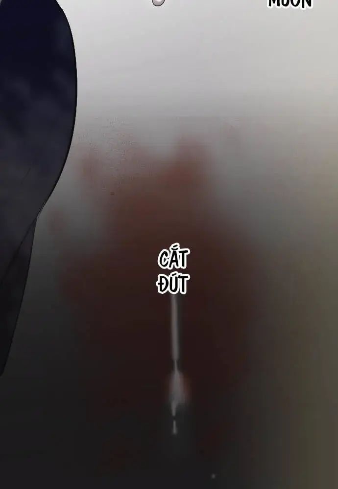 Hoa Cánh Sao Chap 39 - Next Chap 40