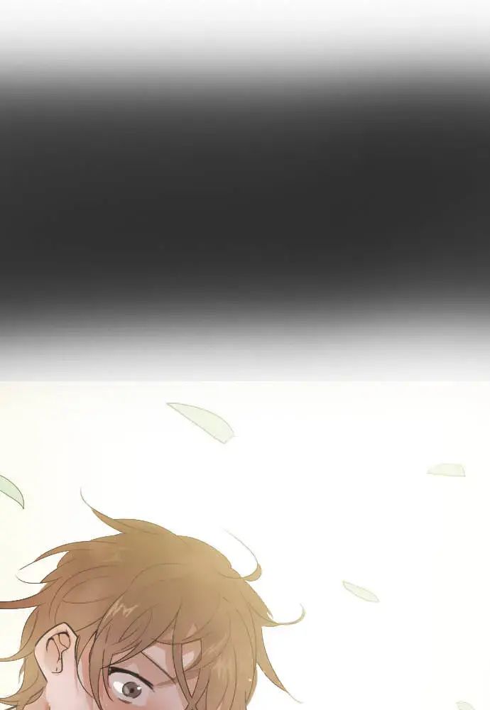 Hoa Cánh Sao Chap 39 - Next Chap 40
