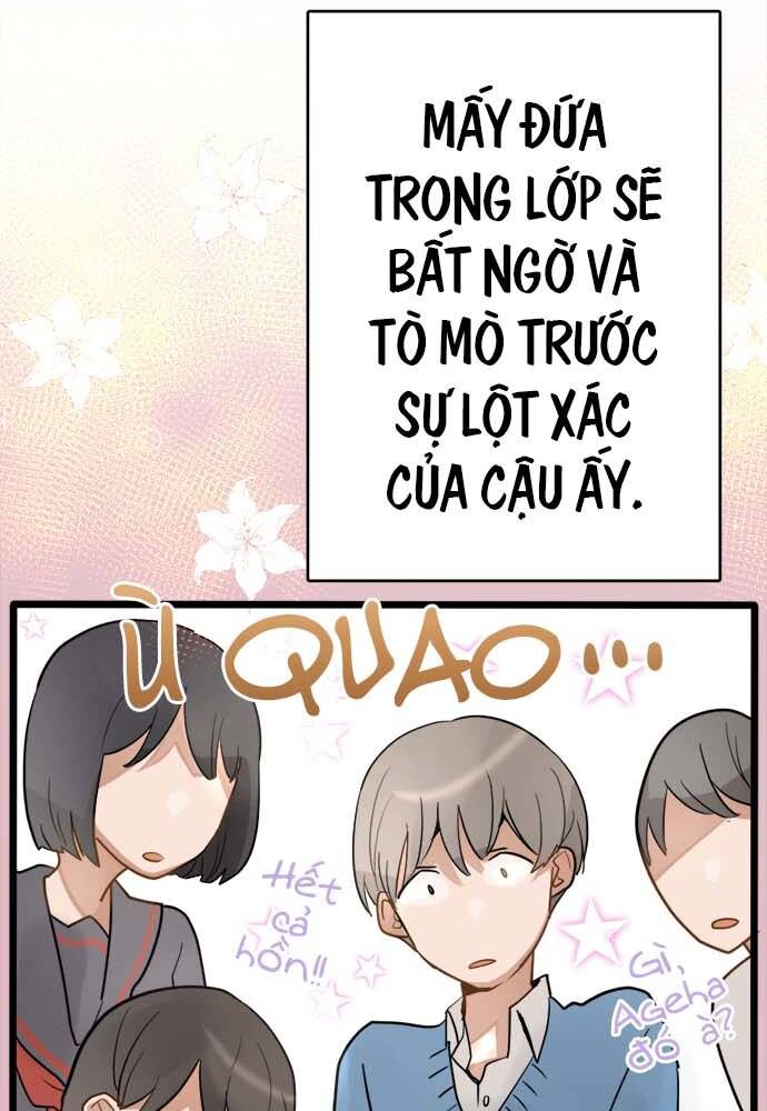 Hoa Cánh Sao Chap 81 - Next Chap 82