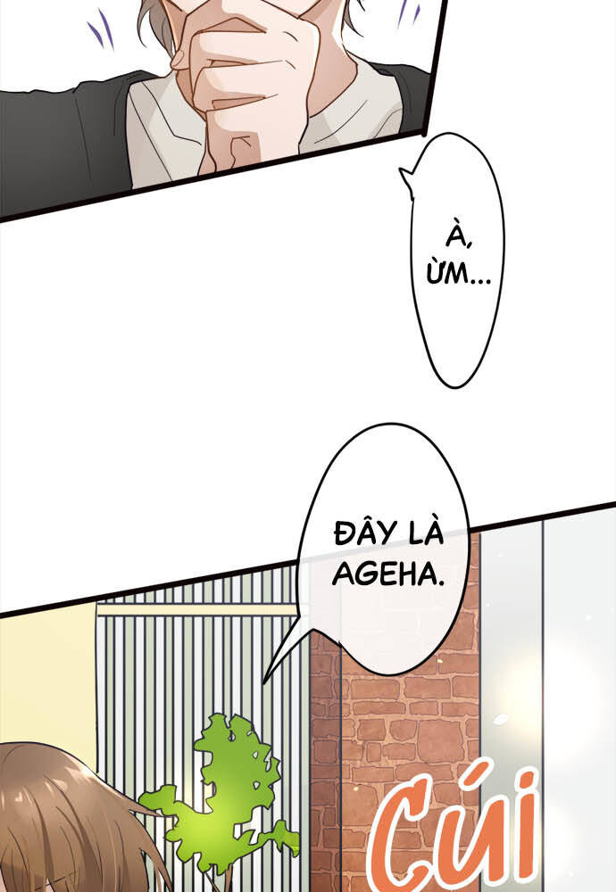 Hoa Cánh Sao Chap 82 - Next Chap 83