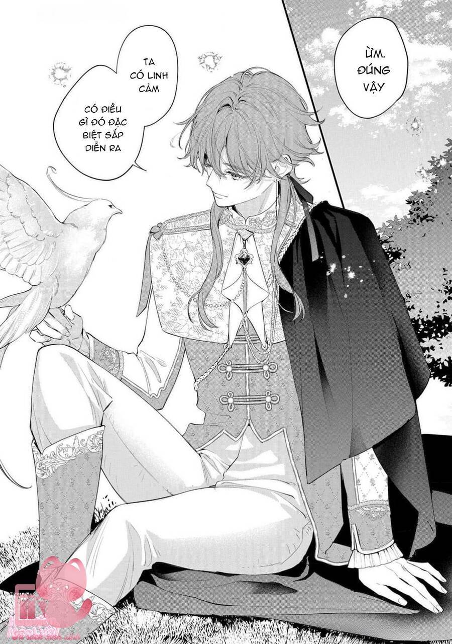 Hoa Hồng Ẩn Giấu Sao Băng Chap 10 - Next Chap 11