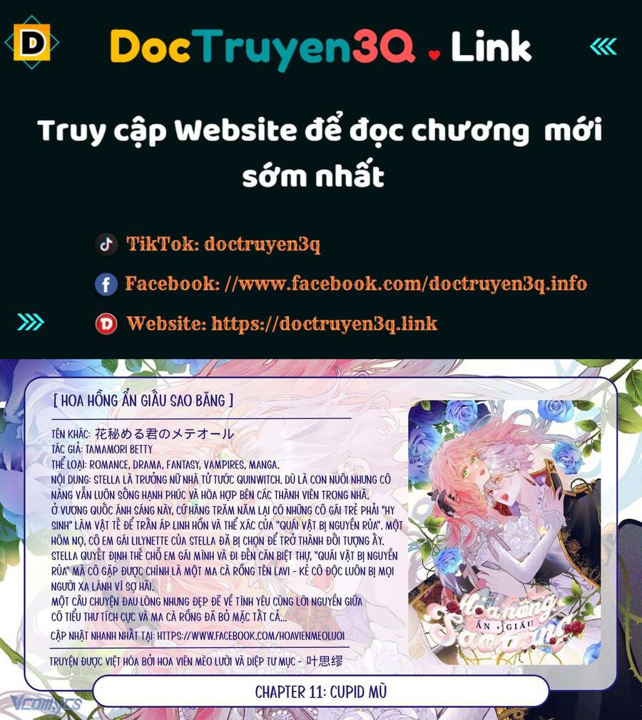 Hoa Hồng Ẩn Giấu Sao Băng Chap 11 - Next Chap 12