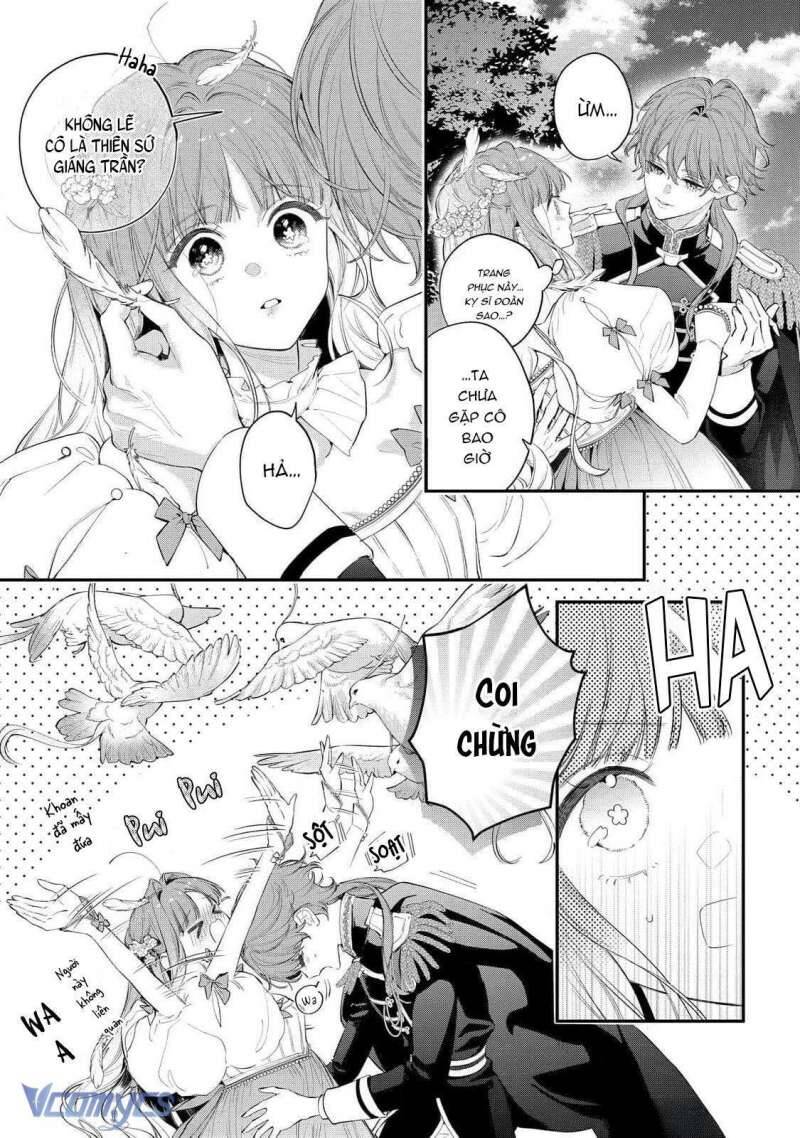 Hoa Hồng Ẩn Giấu Sao Băng Chap 11 - Next Chap 12