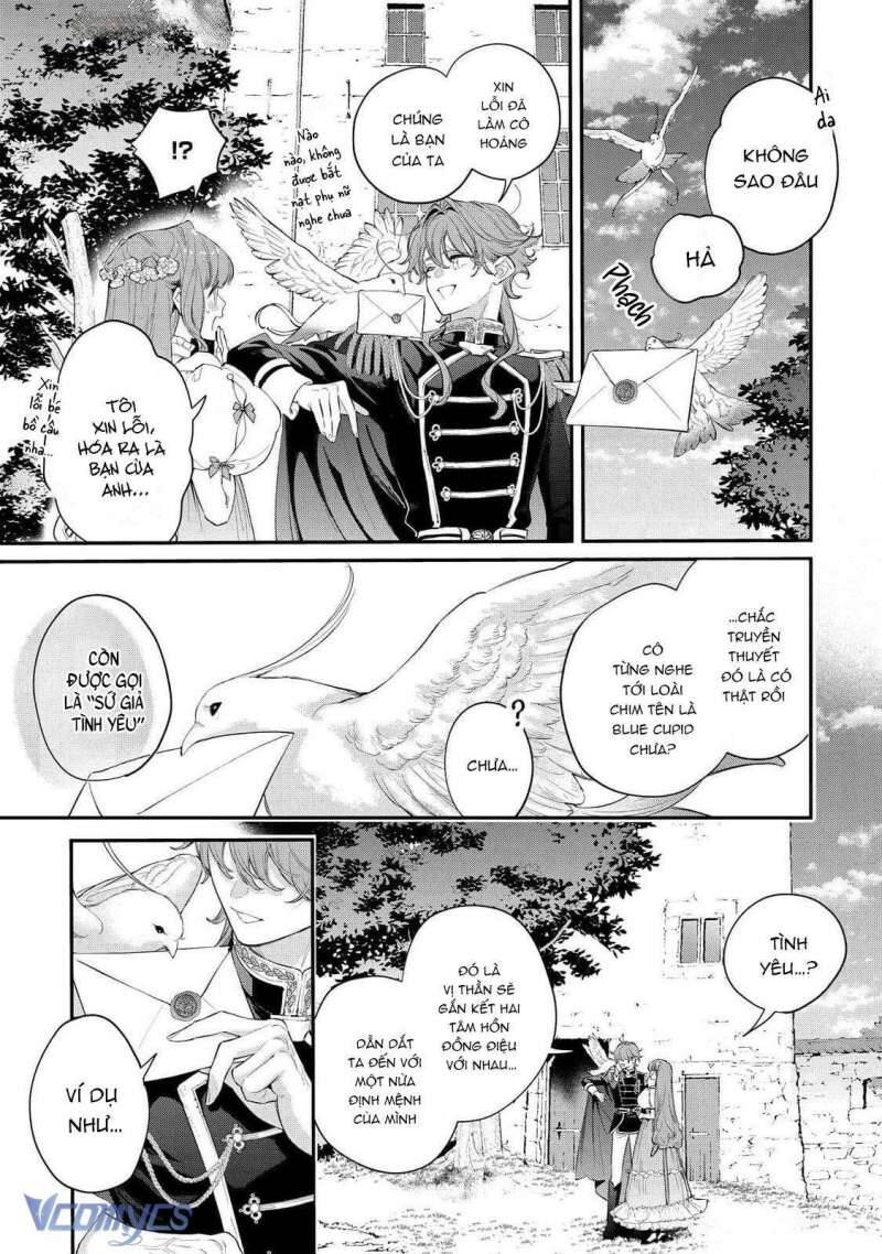 Hoa Hồng Ẩn Giấu Sao Băng Chap 11 - Next Chap 12