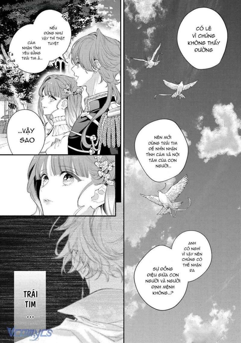 Hoa Hồng Ẩn Giấu Sao Băng Chap 11 - Next Chap 12